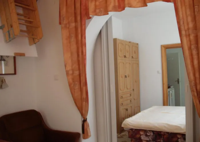 Hevizi Haz ヘーヴィーズ