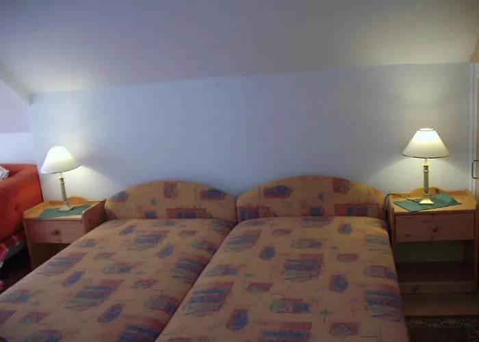 Hevizi Haz ヘーヴィーズ