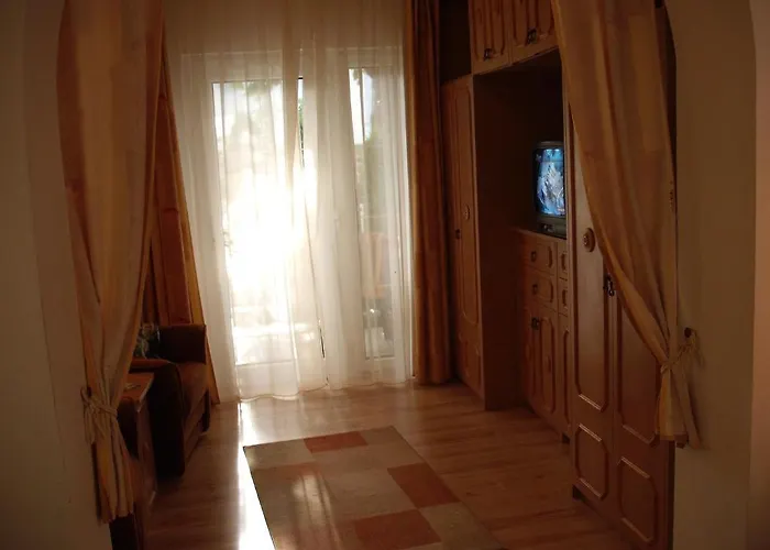 Hevizi Haz ヘーヴィーズ