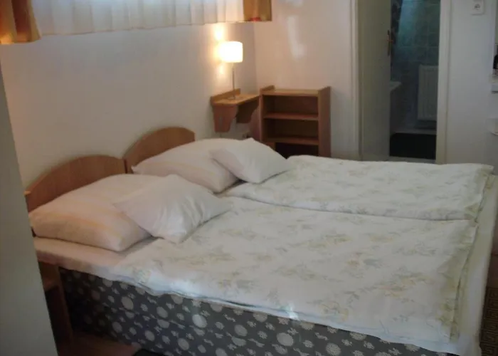 Hevizi Haz ヘーヴィーズ