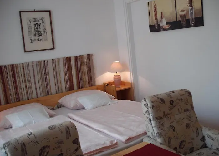 Hevizi Haz ヘーヴィーズ